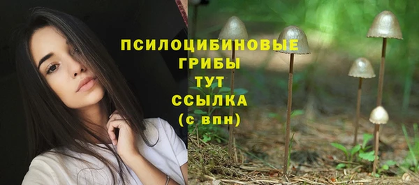 ALPHA-PVP Верхнеуральск