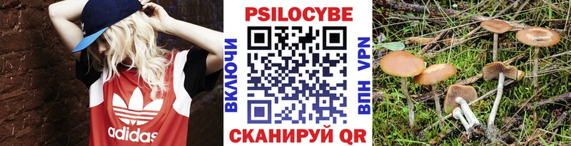 Галлюциногенные грибы Cubensis  Купить  Андреаполь 
