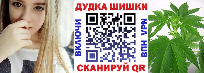 Купить где  Андреаполь  Шишки марихуана сатива 